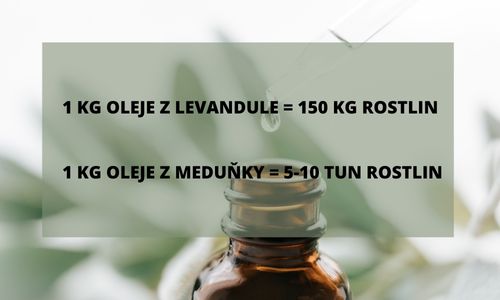 LUXUSNÍ ESENCIÁLNÍ OLEJE 